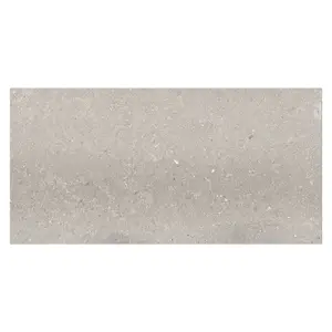 Azure Matt Grey Stone Effect Porcelain Outdoor Tile - Pack of 7, 5.04m² - (L)1200x(W)600mm