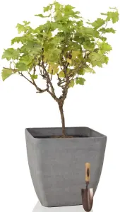 Primrose Square Volcanic Grey Stone and Resin Composite Planter Frost Resistant & Lightweight 43cm