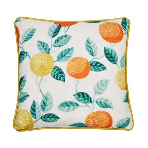 Botanical Fruits Outdoor Water & UV Resistant Filled Cushion