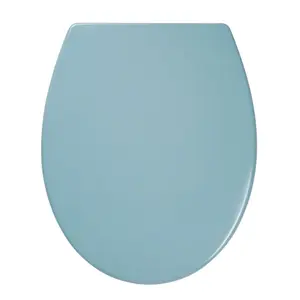 Cooke & Lewis Diani Blue Round Soft close Toilet seat