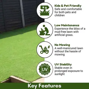 Fern 20mm Soft Outdoor Artificial Grass, Value For Money, Pet-Friendly Artificial Grass-4m(13'1") X 4m(13'1")-16m²