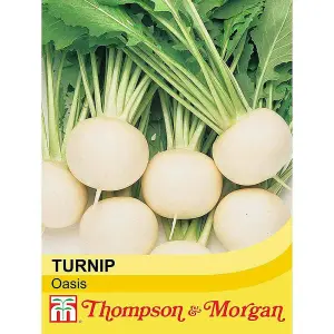 Turnip Oasis F1 Hybrid 1 Seed Packet