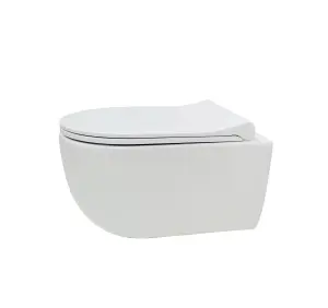 Top Ceramics White Round Wall Hung Rimless Combined Bidet Toilet with Soft Close Seat and 1.12m Cistern Frame