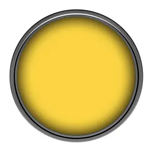 Leyland Trade Vinyl Soft Sheen Walls & Ceilings Emulsion Paint Zinc Yellow (RAL 1018) - 5L