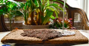 COCONUT COMPOST. Organic Coir Soil. 6L. Letterbox Size. Peat Free + Plastic Free. Indoor + Outdoor Plants. Professional Standard.