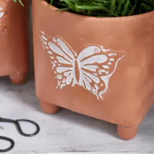 Set of 2 Embossed Butterfly Dragonfly Rustic Indoor Outdoor Garden Plant Pots Footed Terracotta Flower Planter