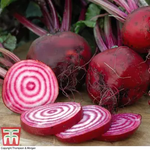 Beetroot Chioggia 1 Seed Packet (80 Seeds)