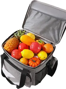 Leak Proof Cooler Bag Box With Carry Handle & Shoulder Strap Picnic 15L