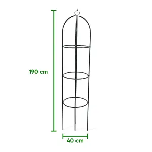 Garden Plant Obelisk For Garden Plants Vines Support