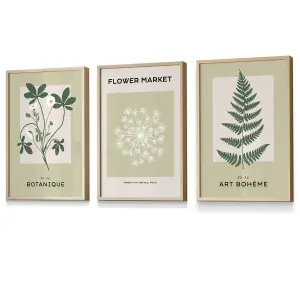 Set of 3 Framed Vintage Graphical Green Botanical / 30x42cm (A3) / Oak