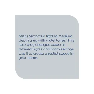 Dulux Easycare Misty mirror Soft sheen Emulsion paint, 2.5L