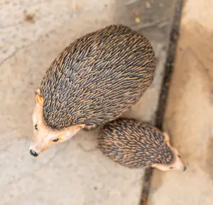 2pc Hedgehog Garden Ornaments Set