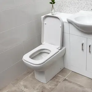 Astral Back to Wall Toilet with Soft Close Toilet Seat & Anti-Bacterial Glaze