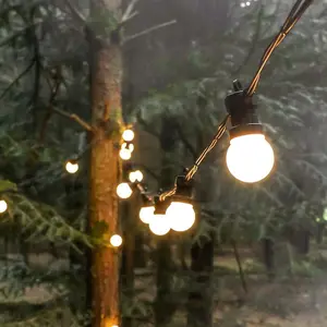 CGC VELMA White LED Festoon Outdoor String Lights Kit