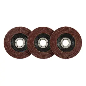 Draper  Aluminium Oxide Flap Discs, 115 x 22.23mm, 60 Grit (Pack of 10) 83067