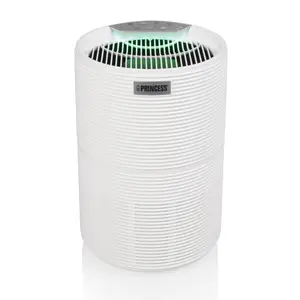 Princess Hepa H13 Carbon & HEPA Air purifier filter 160