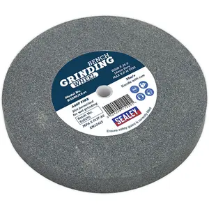 High-Quality Bench Grinding Stone Wheel - 200mm x 25mm with 16mm Bore