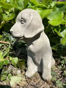 Sitting Puppy Dog Stone Statue Outdoor British Made Garden Ornament Puppy Dog