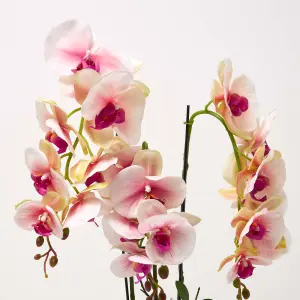 Homescapes Pink Orchid 64 cm Phalaenopsis in Cement Pot Extra Large, 3 Stems