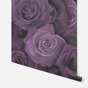 Arthouse Austin Rose Purple Wallpaper