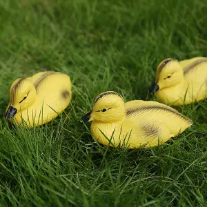 Pisces Floating Ducklings - Baby Ducks Set Of 3