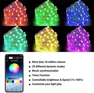 LED String Lights - Unique Christmas Decoration - 10m (100 Leds)