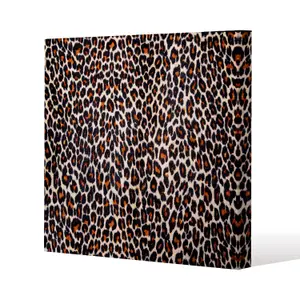 Leopard Print (Canvas Print) / 61 x 61 x 4cm