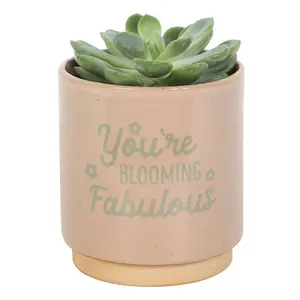 Something Different Youre Blooming Fabulous Speckle Plant Pot Cream/Gold (One Size)