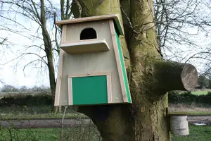 Barn Owl Box Handmade in Our UK Workshop