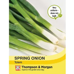 Onion fistulosum Totem 1 Seed Packet (400 Seeds)