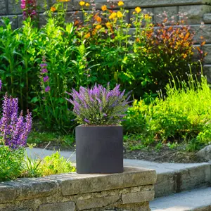 Set of 2 IDEALIST™ 25cm Small Square Planter, Flower Box Garden Planters, Dark Grey Reinforced Stone Outdoor Plant Pots, 16L