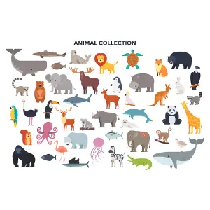 Origin Murals Animal Collection Multi Matt Smooth Paste the Wall Mural 350cm Wide X 280cm High