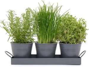 Set of 3 Metal Herb Plant Pots with Saucer Tray Indoor Windowsill Kitchen Planter (Charcoal Grey)