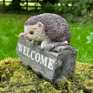 Hedgehog garden decoration with WELCOME wording, wood effect resin, novelty Hog lover gift