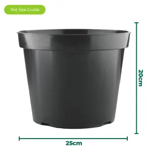 250 x 7.5L Round Black Plant Pots For Growing Garden Plant & Herb Outdoor Grower