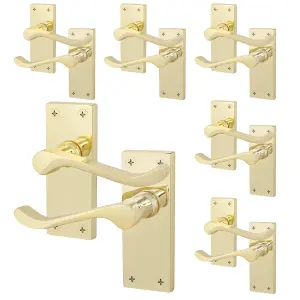 AFIT Polished Brass Victorian Scroll Door Handles - 6 Pairs of Brass Internal Lever Latch Handles on Backplate