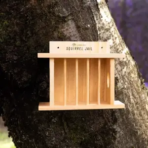 Hanging Wooden Squirrel Feeder Garden Wildlife Jail Feeding Station Box Outdoor