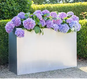 Primrose Garden Zinc Tall Trough Planter with Insert Silver 95cm