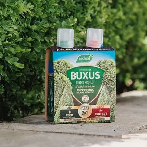 Westland Buxus 2 In 1 Concentrate Plant Food Feed & Protect 2 x 500ml Topiary