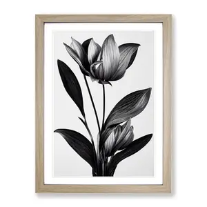 XV1022-2844X Monochrome Flower - Single Picture Frame Painting Oak / 64cm H x 46cm W x 2cm D