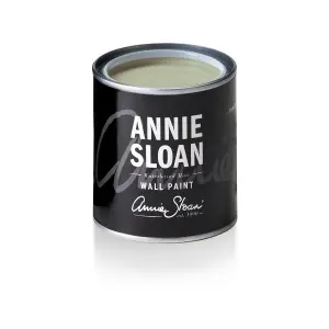 Annie Sloan Wall Paint 120ml Terre Verte