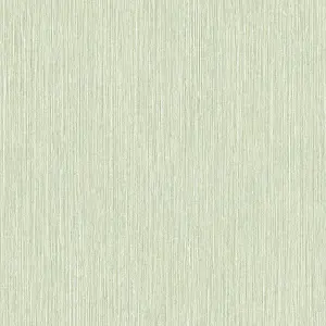 Grandeco Boutique Driftwood Seagrass Effect Texture Embossed Wallpaper, Green