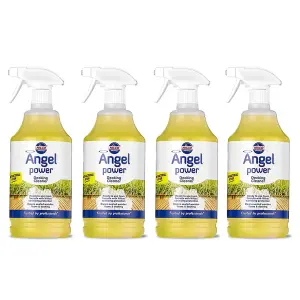 Nilco Angel Power 4L Garden Decking Wooden Floor Cleaner & Trigger Foam 4x 1L