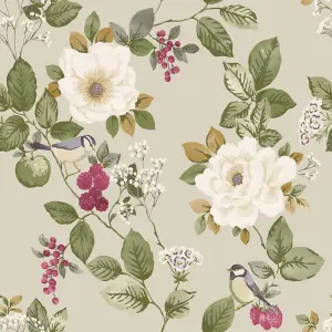 Belgravia Bramble Floral Multi Wallpaper Birds Leaves Flowers Feature Wall