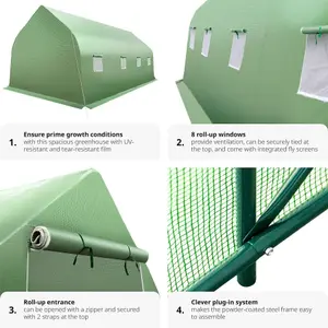 Greenhouse - polytunnel with 8 windows, 600 x 300 x 205 cm - 600 x 300 x 205 cm