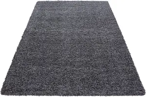 Dark Grey Rug Small Large Shaggy Rug Modern Rugs Living Room Extra Large Small Medium Rectangular Soft Touch Thick Pile 120x170 cm