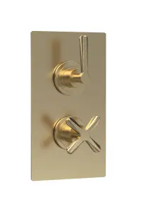 Connect Twin Concealed Crosshead Thermostatic Shower Valve (1 Outlets) - Brushed Brass - Balterley