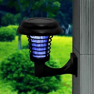 Ana-Veronica Black Low Voltage Solar Powered Integrated LED Pathway Light Pack (Set of 2)