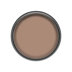 Dulux Walls & ceilings Copper blush Matt Emulsion paint, 2.5L