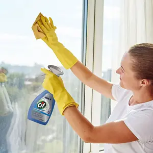 Cif Professional Window & Multi Surface Cleaner Spray 750ml (Pack of 3)